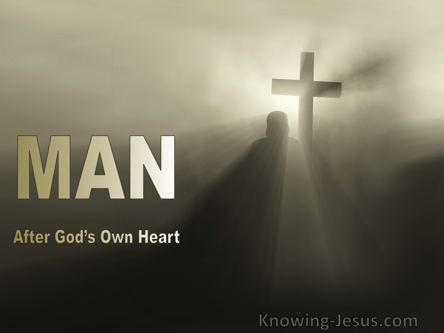 The Man After God's Own Heart
